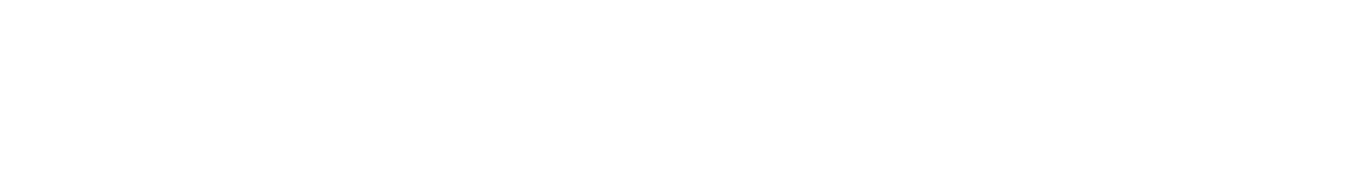 Omnicom Media Group VN